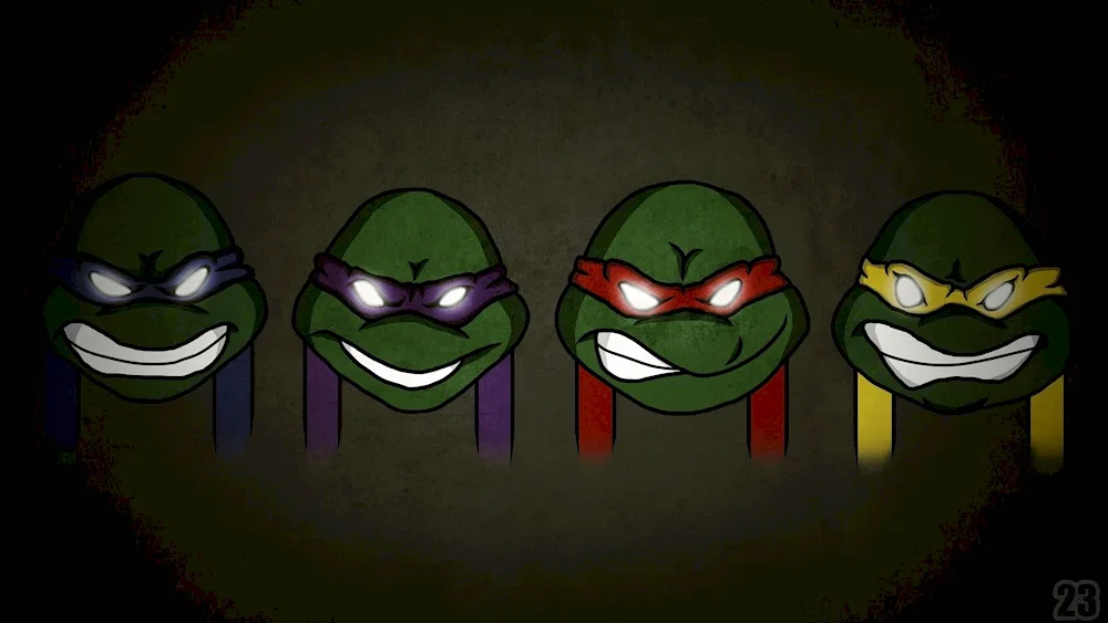 Ninja Turtles Leonardo Donatello Raphael Michelangelo