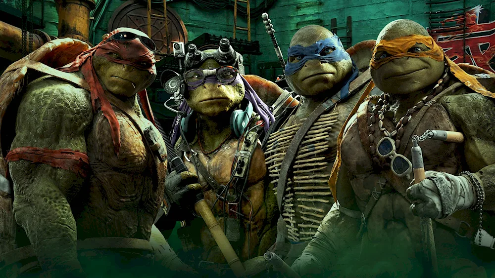 Ninja Turtles Michael Bay