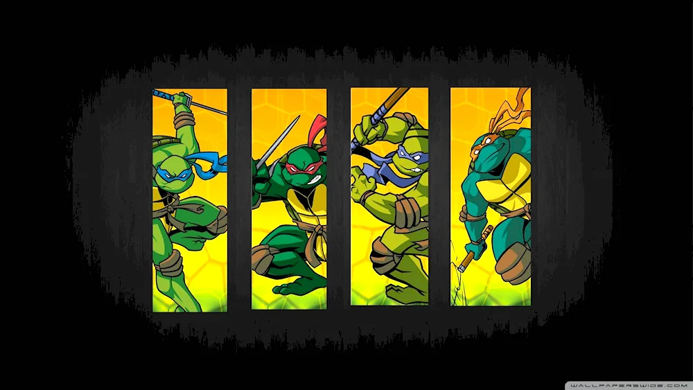 Ninja Turtles teenage Mutant Ninja Turtles