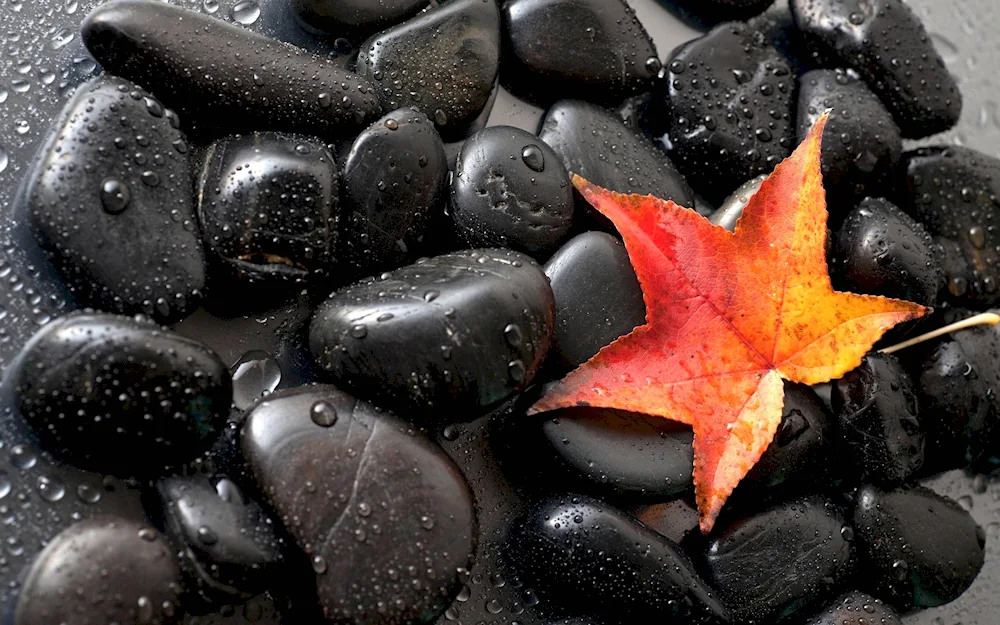 Black pebbles