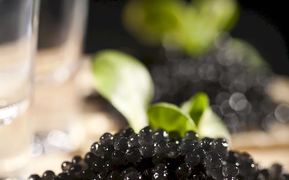 Black caviar