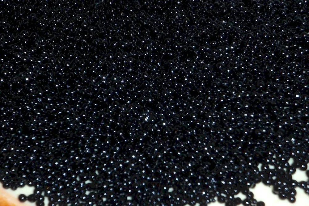 Black caviar