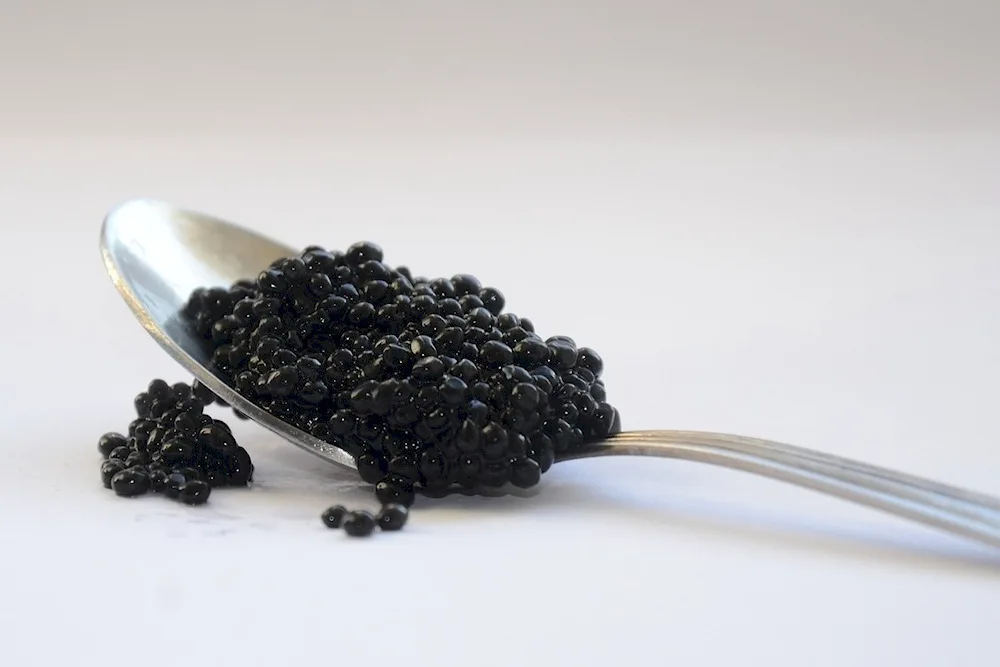 Black Caviar