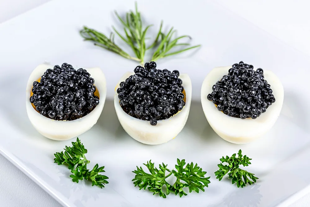 Black Caviar