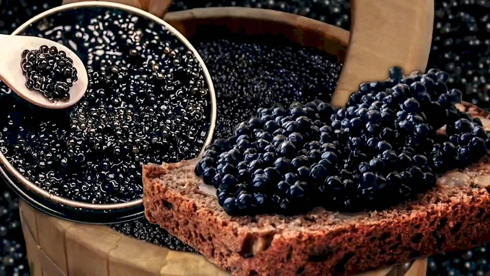 Black caviar on a black background