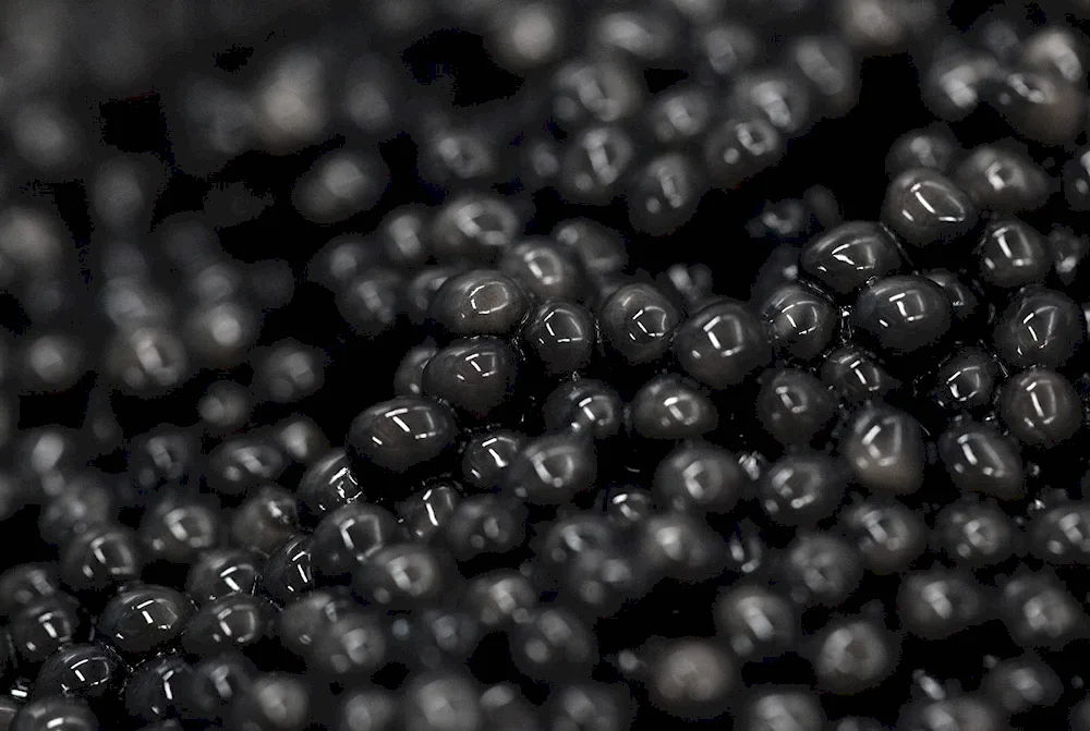 Black caviar