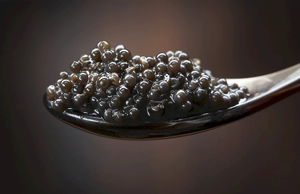 Black caviar Caviar Caviar