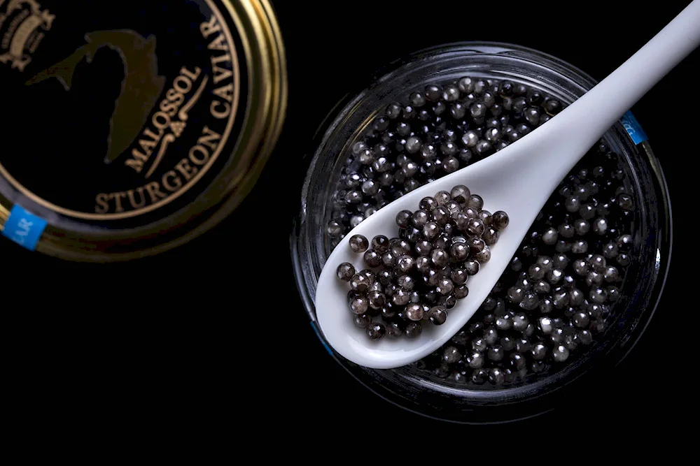 Black caviar Caviar Caviar