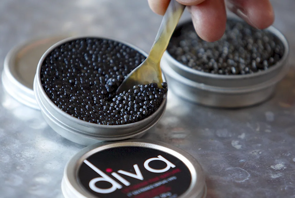 Black Caviar
