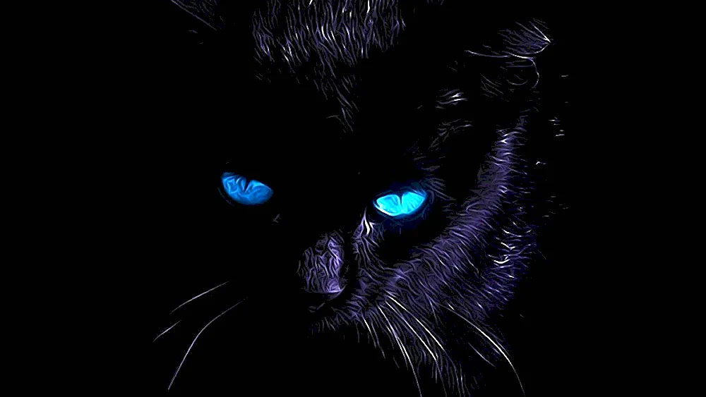 Black cat with blue eyes