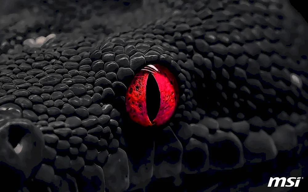 Black snake with red eyes eyes