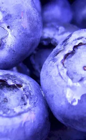 Blueberries