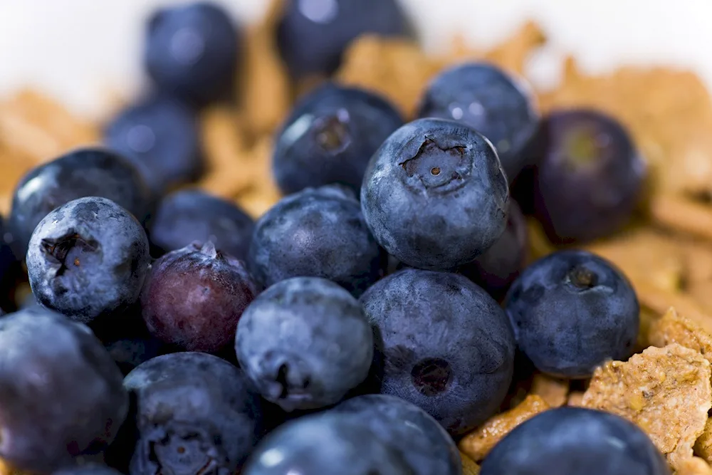 Blackberries