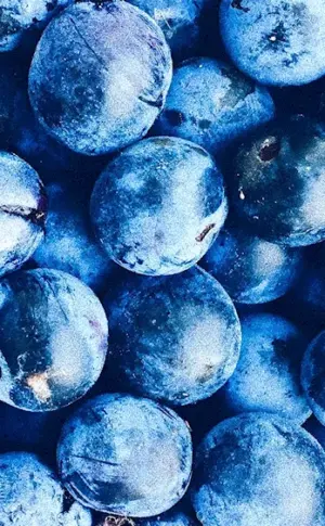 Blueberry