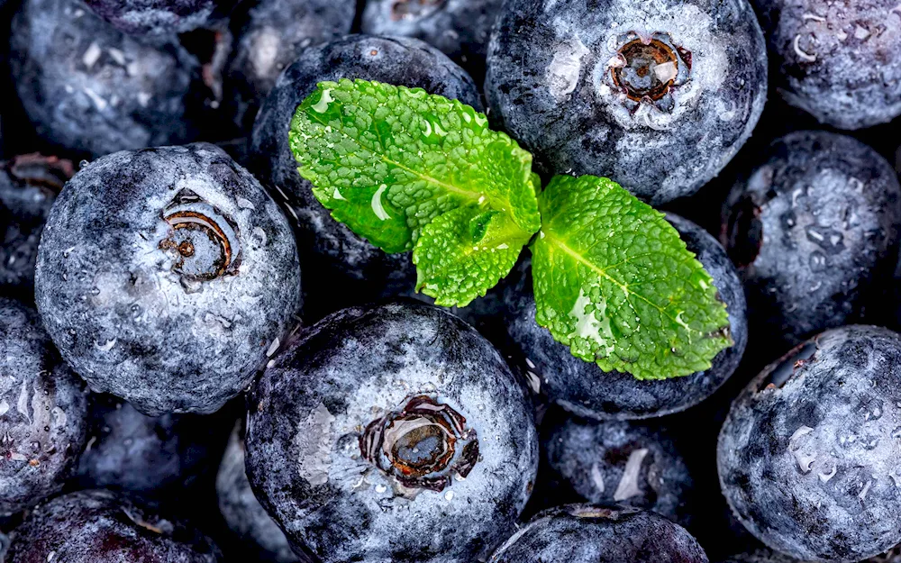 Blackberries and blueberries