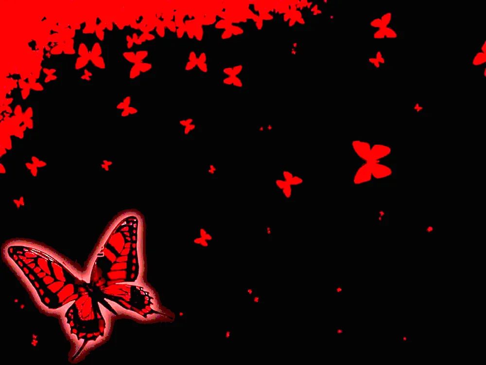 Black red butterfly