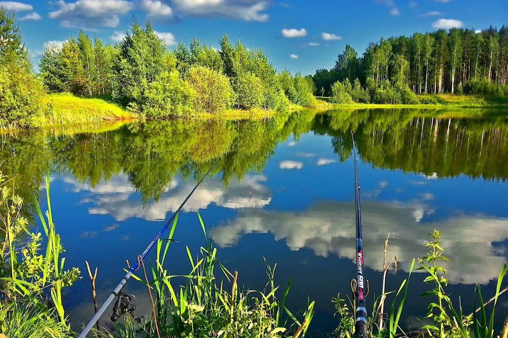 Fisherman with fishing rod