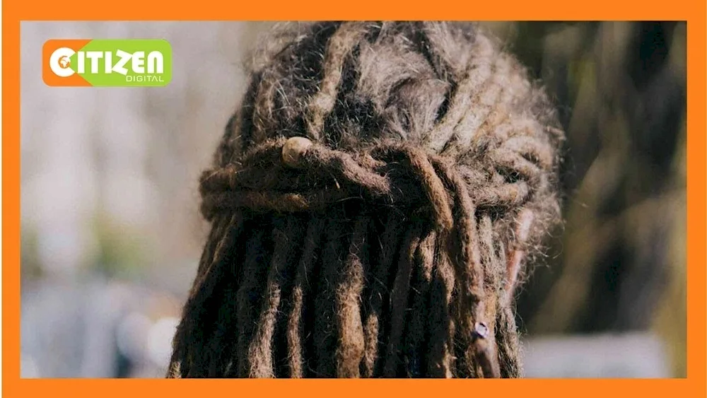 De Senegalese dreadlocks. braids