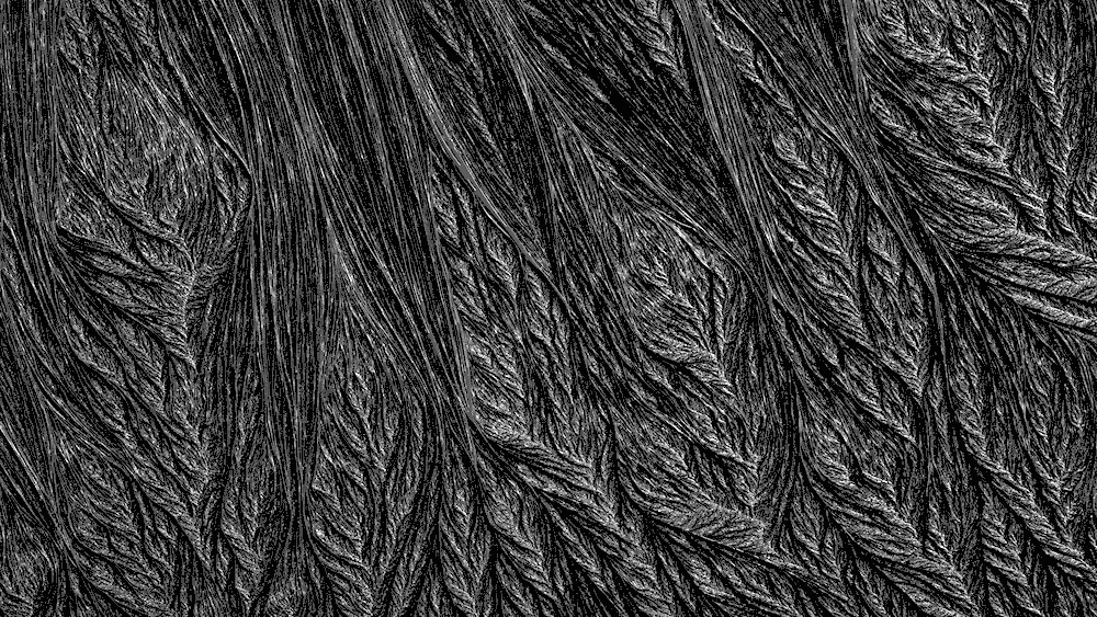 Black wallpaper