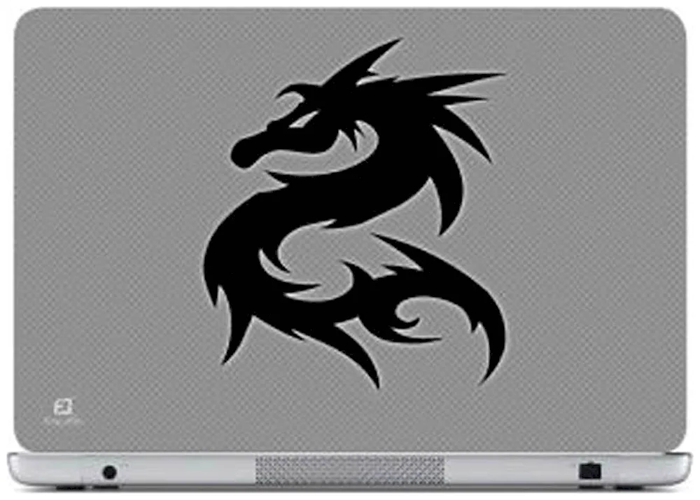 Dragon trayble China