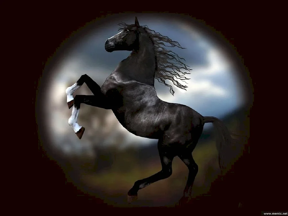 Chestnut Mustang