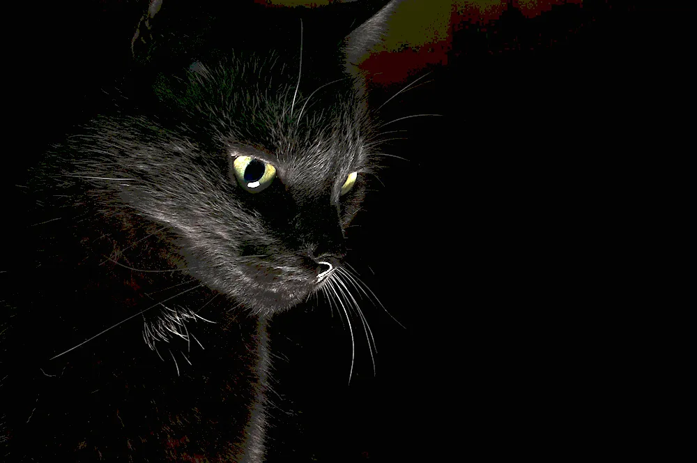 black background