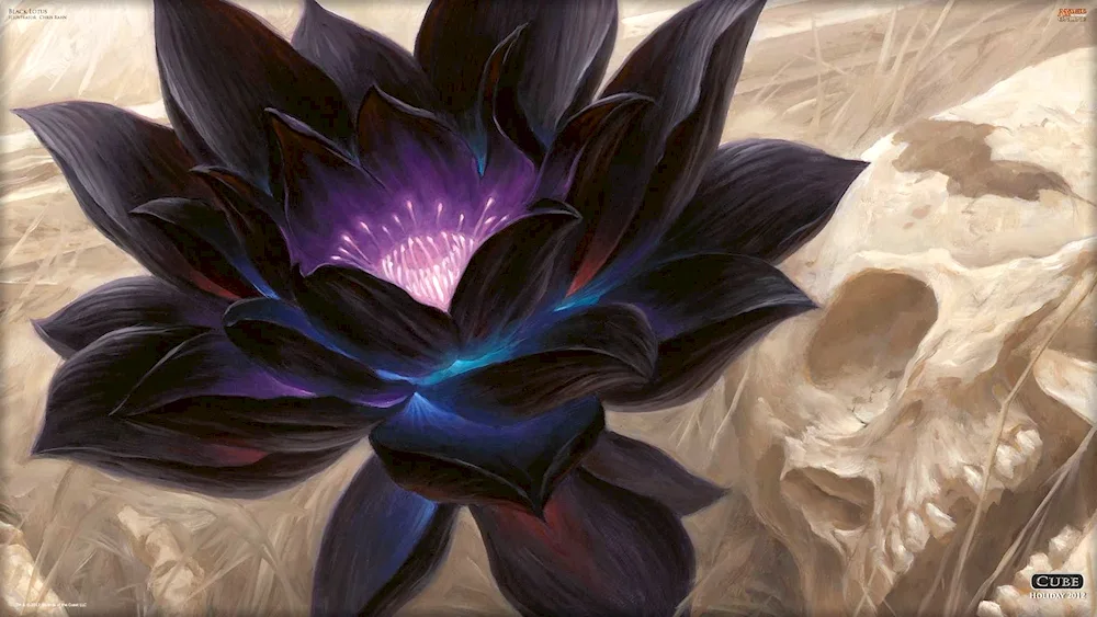 Black Lotus MTG