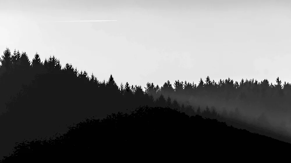 Minimalistic landscape