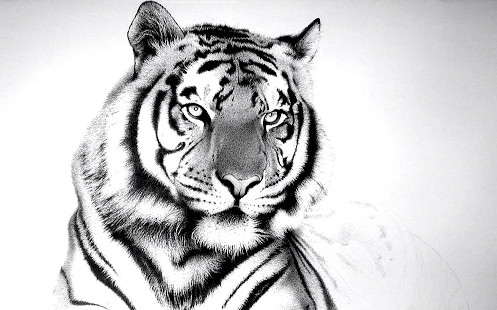Cherokee drawing