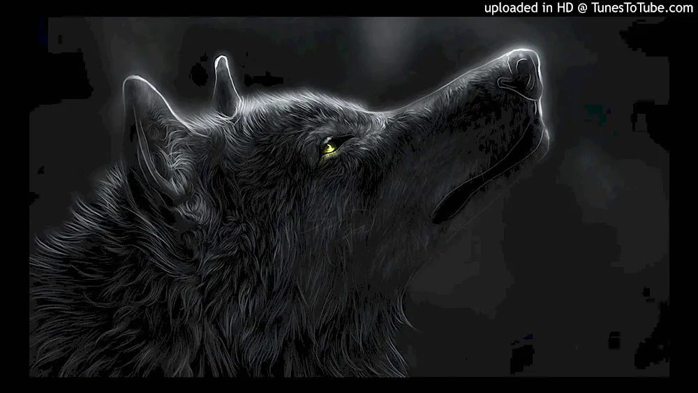 Beautiful Wolf