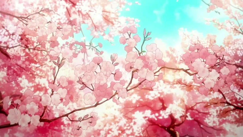 Cherry blossom anime