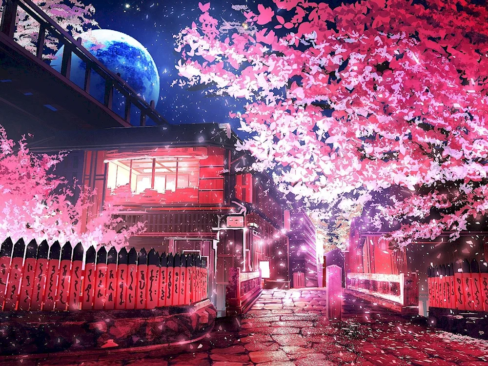 Cherry blossom anime