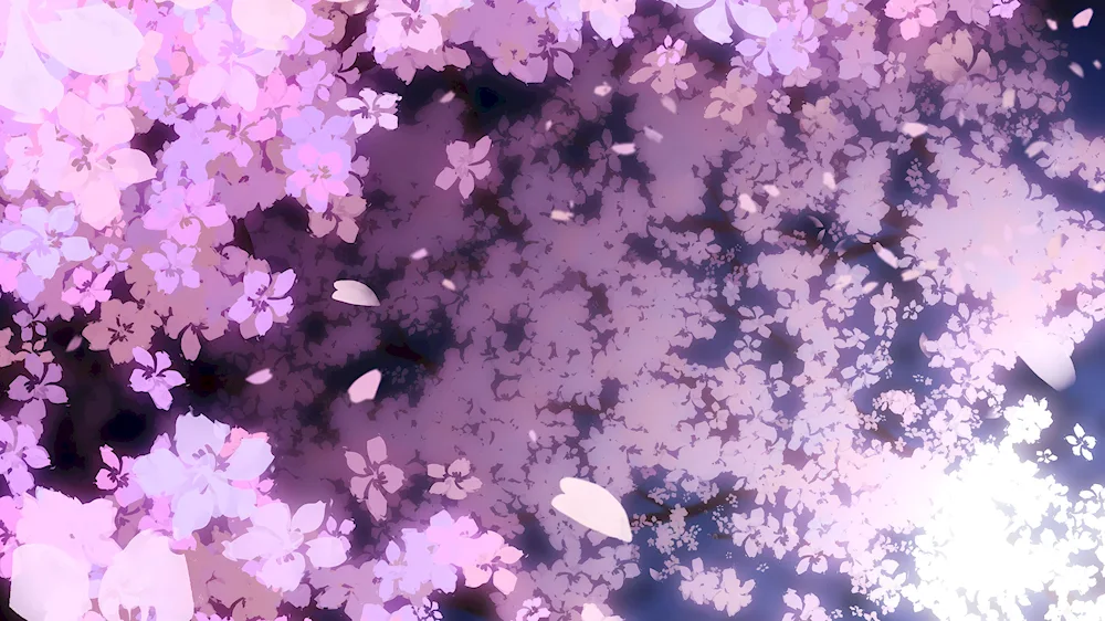 Cherry blossom anime Aesthetics background