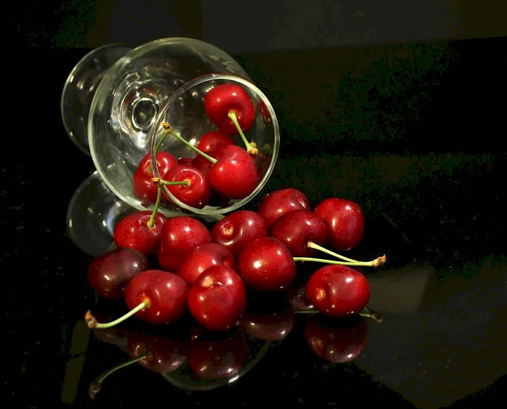Pitcher still life
