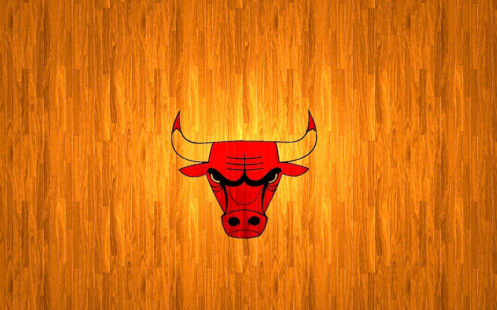 Chicago Bulls