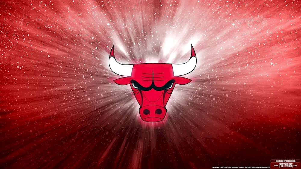 Chicago Bulls