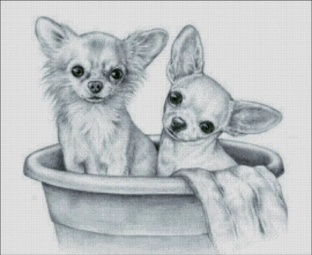 Pencil sketches