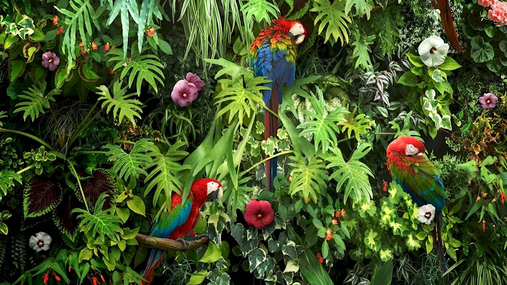 Chile Selva tropical flowers