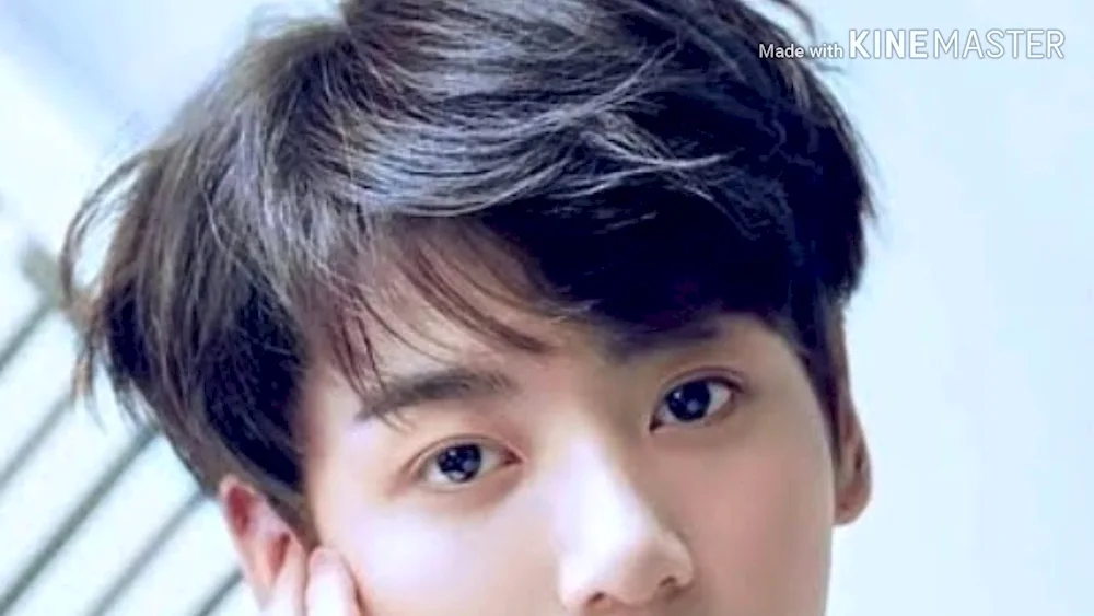 BTS BTS