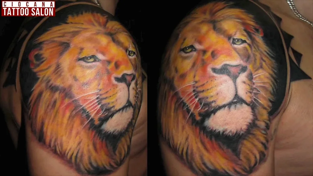 What Lion tattoo means