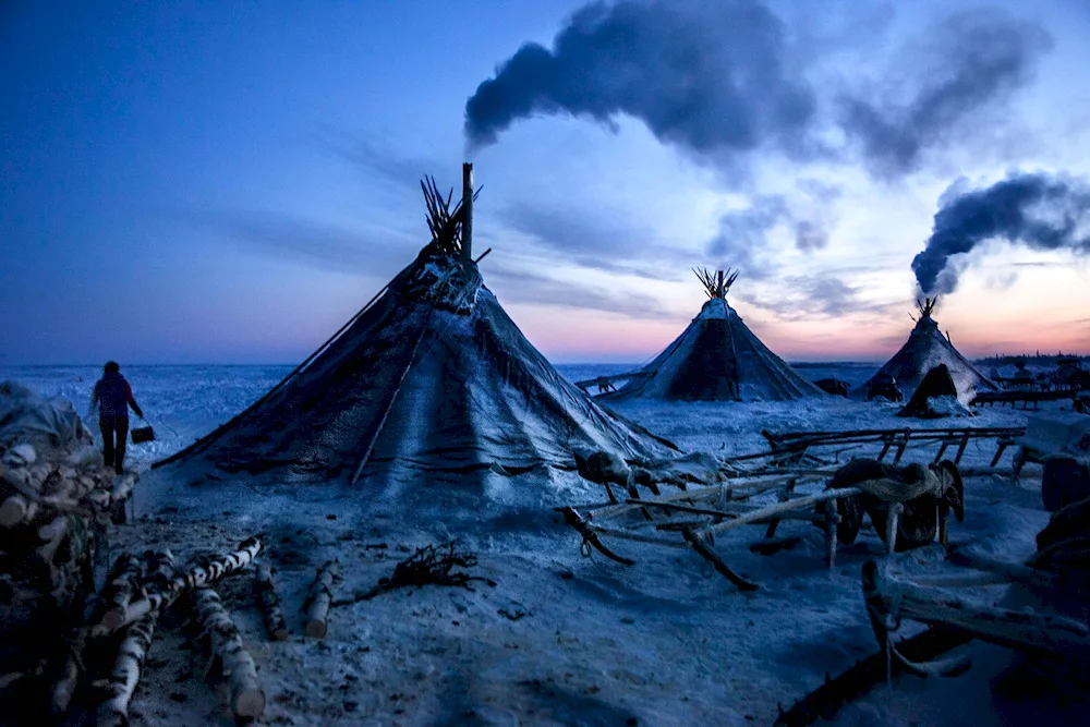 Chum nenets in the tundra