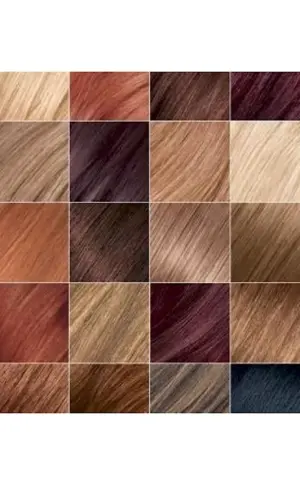 Colorful hair Loreal palette