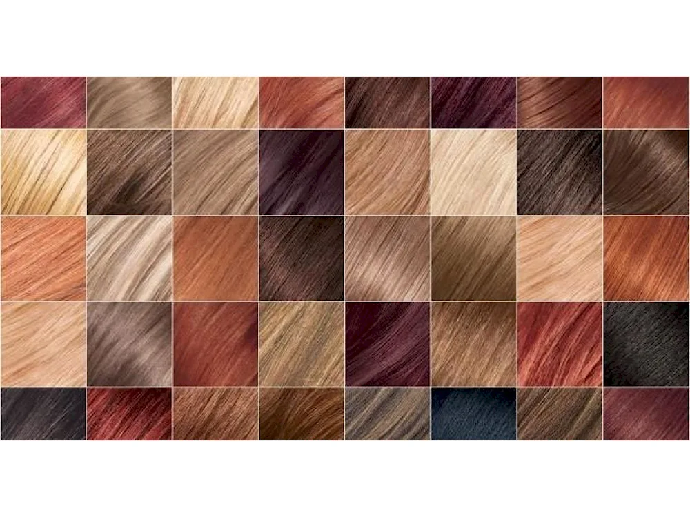 Colorful hair Loreal palette