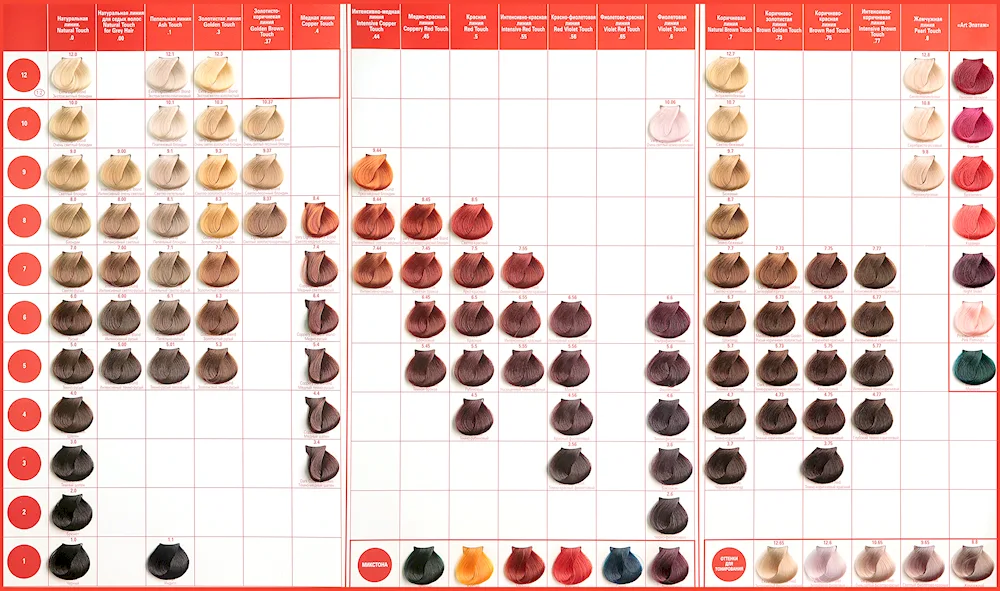 Concept Profy Touch palette