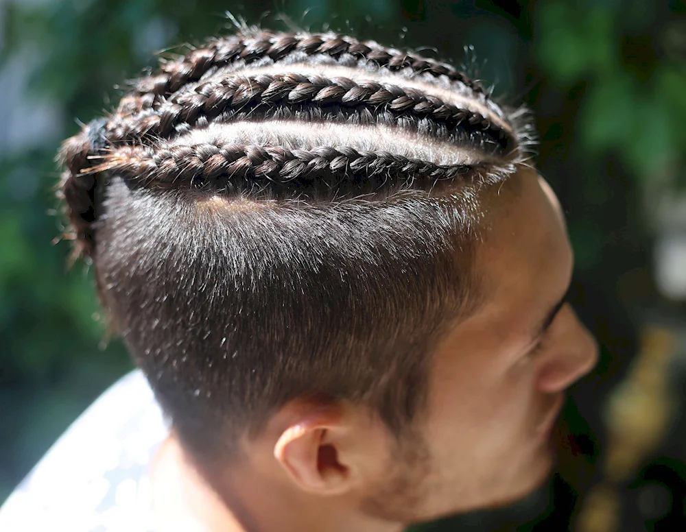 Cornrows Braids men's