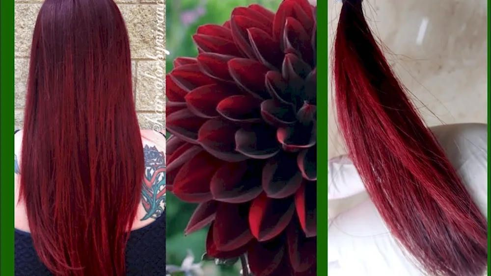 Dark burgundy colour