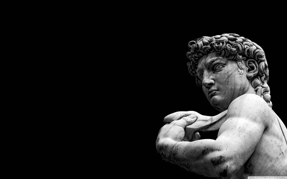 David Michelangelo