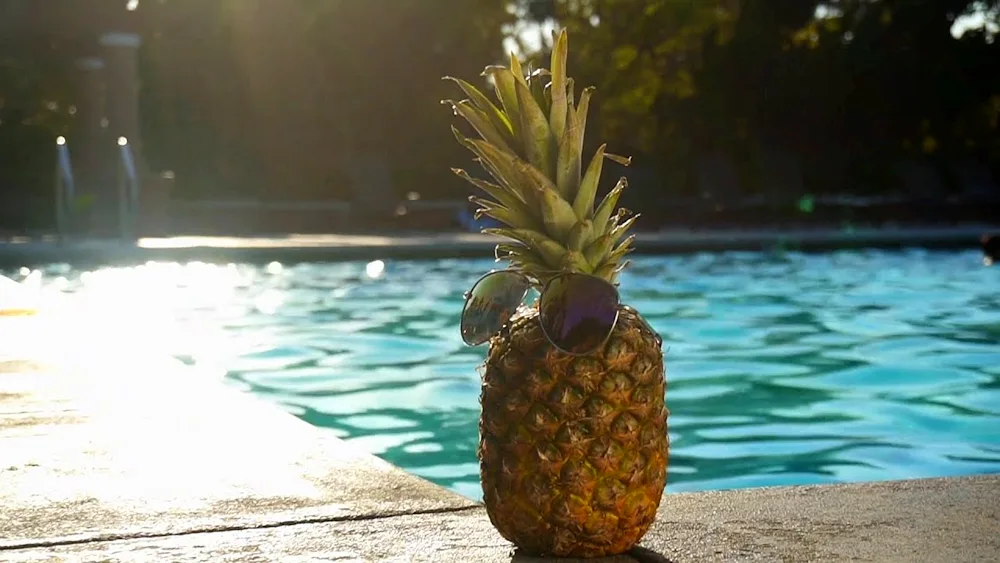 Day pineapple