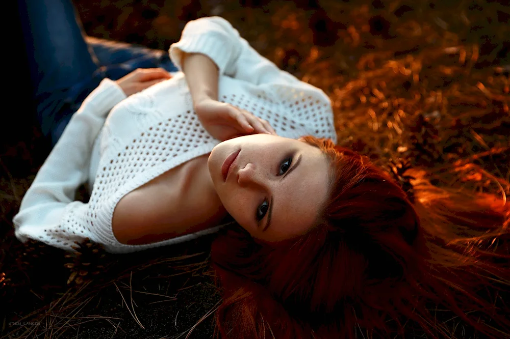 Denis- Lankin model