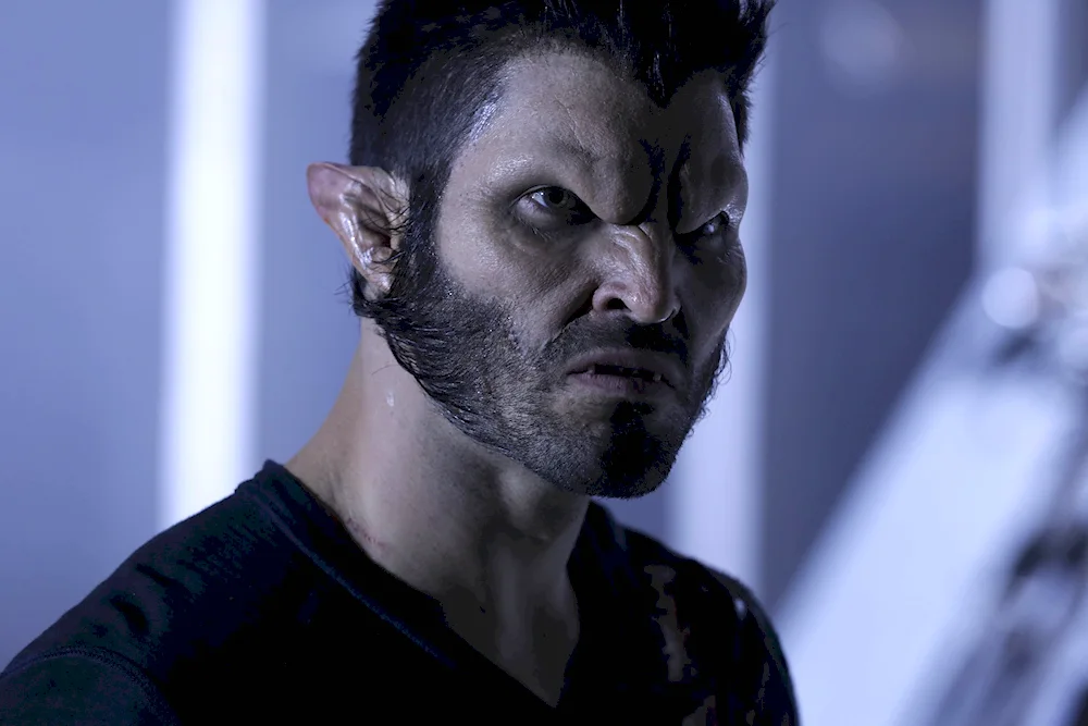 Wolfcut 2022